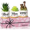 Birthday Gifts for Mom from Daughter Son "Best Mom Ever" Succulent Pots Plant Pots Set