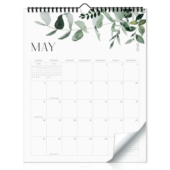 Calendrier Mural Esthétique 2025-2026 - s'Écaille de Janvier 2025 à Juillet 2026 - le Calendrier de Verdure Moderne Parfait pour une Organisation Facile