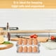 thumbnail image 5 of Caja de almacenamiento de huevos Almacenamiento Huevos Huevos Organizador de cocina Refrigerador Huevo Estante, 5 of 5