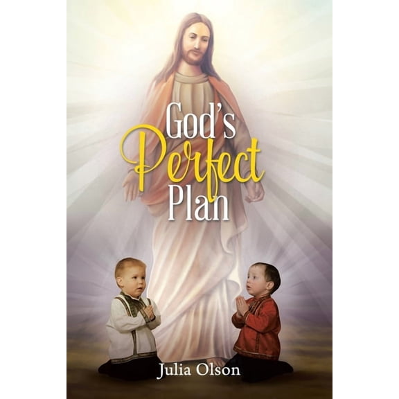 God's Perfect Plan, (Paperback)