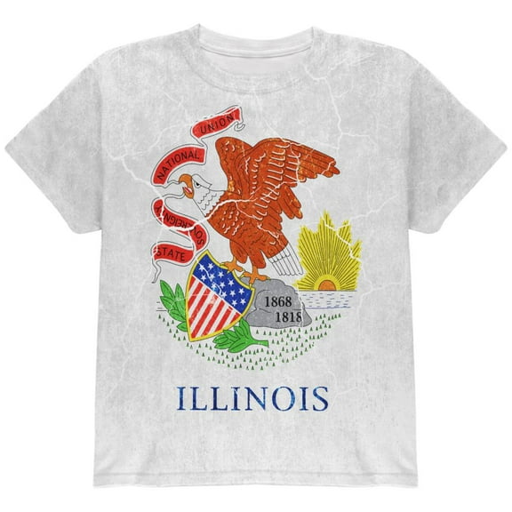 Illinois Vintage Distressed State Flag All Over Youth T Shirt Multi YXL