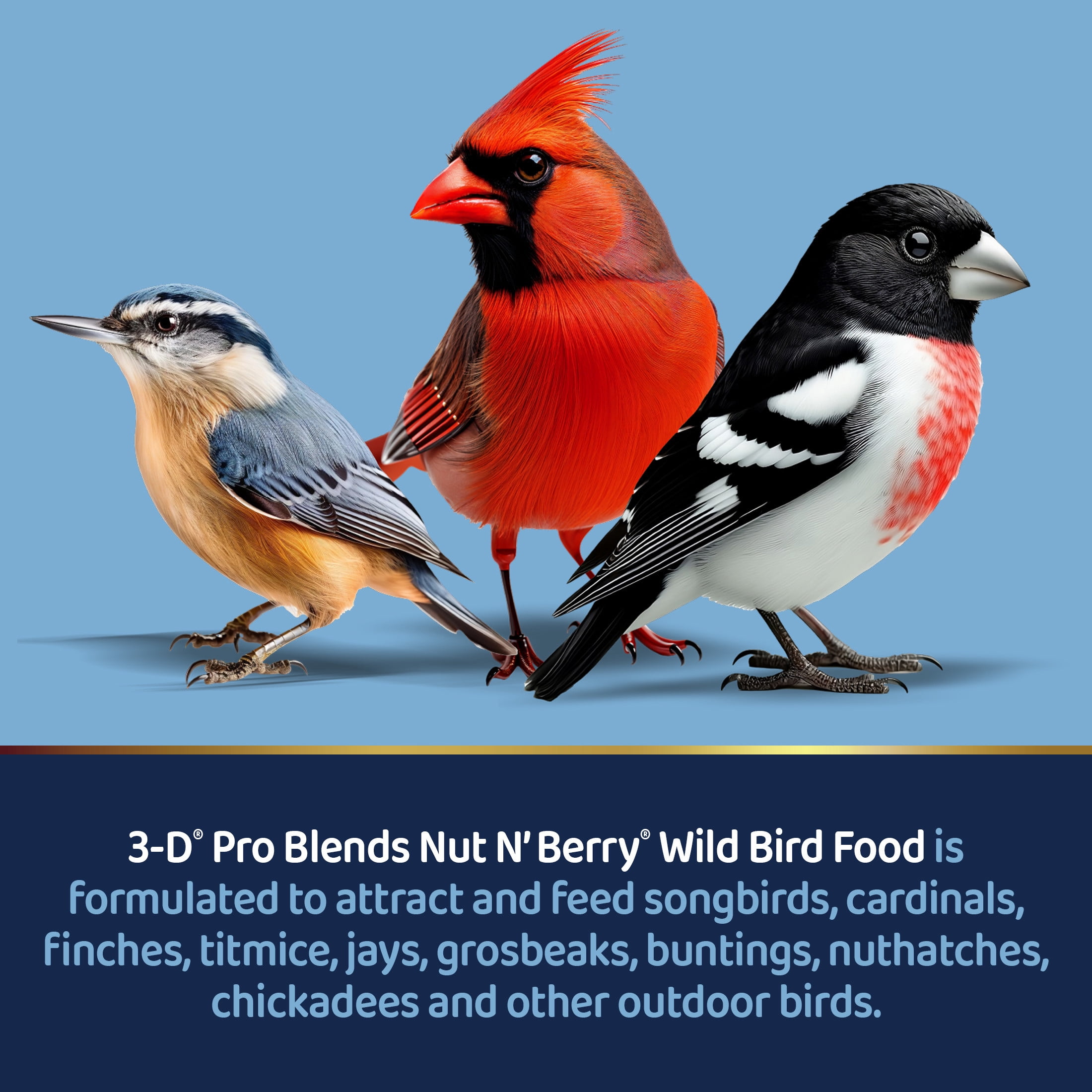 3-D Pro Blends Nut N' Berry Blend Wild Bird Food, Wild Bird Seed, 15 Pounds