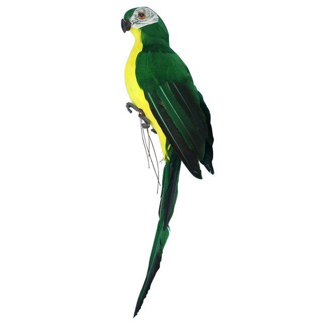 Amdohai Artificial Parrot Wall Sculpture Decorative Simulation Foam Parrot Home Decoration Crafts