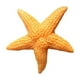 thumbnail image 2 of Refrigerator Magnet Animal Sea Star Fridge Sticker Wall Decals for Home (Orange), 2 of 3