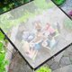 thumbnail image 3 of Waterproof Clear PE Tarpaulin Heavy Duty Cover with Grommets for Outdoor Use, 3 of 5