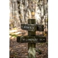 thumbnail image 2 of Looney, Hollice 17x24 Black Ornate Wood Framed with Double Matting Museum Art Print Titled - USA-Virginia-Shenandoah National Park-Wooden trail marker for the White Oak Trail and Limberlost Tr, 2 of 4