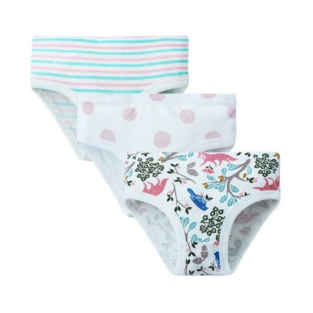 gdxvjhbj Girls Underwear Bikini Little Girls  Soft Underwear Kids Cool Breathable Comfort Panty Briefs Toddler Undies (Blue 5-6 Years)