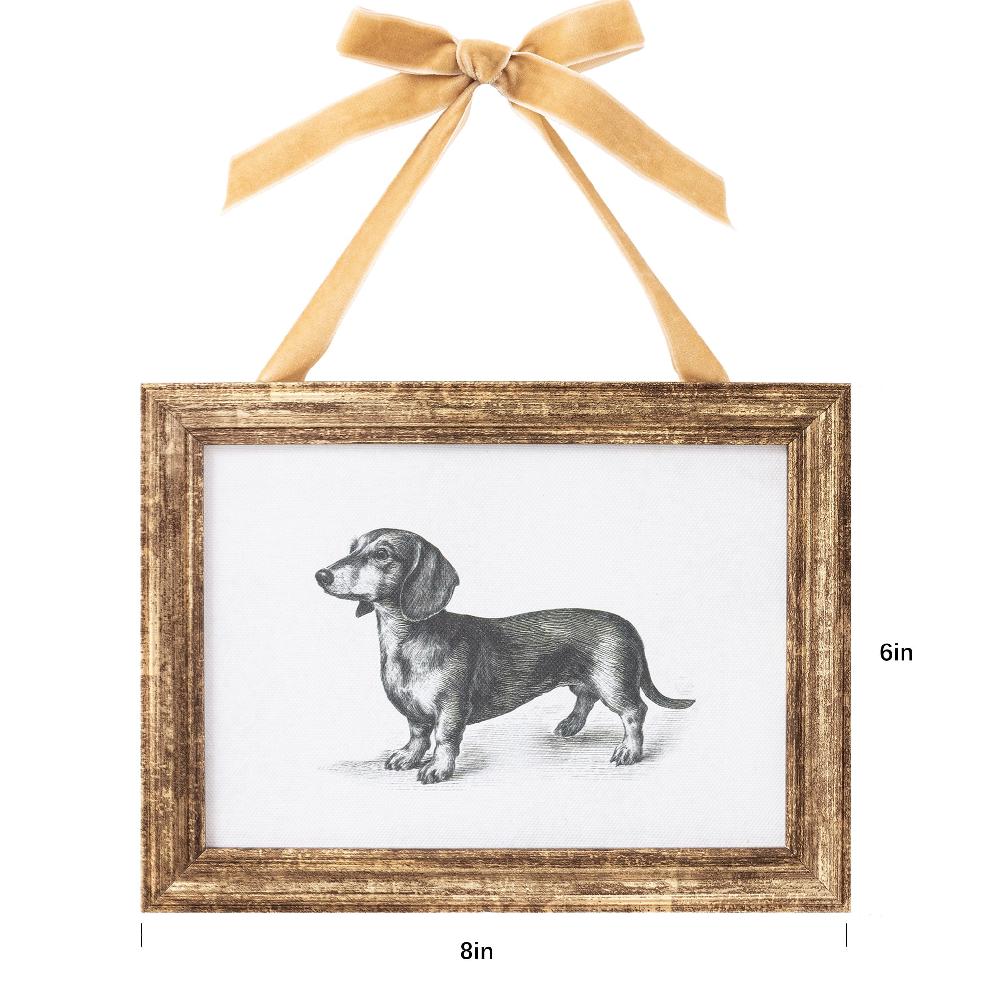 My Texas House Spring Art Dachshund Drawing Framed Canvas w/Velvet Hanger 8x6