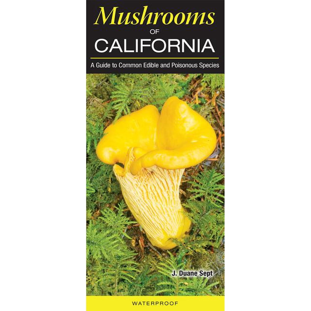 Mushrooms of California A Guide to Common Edible and Poisonous Species