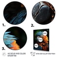 thumbnail image 3 of Designart "Vibrant Portrait of a Parrot I" Animals Floater Framed Canvas Wall Art, 3 of 7