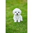thumbnail image 5 of Garden Decor Animal Statue Bichon Frise Puppy, 5 of 5