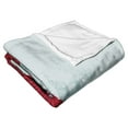 thumbnail image 2 of It 2 Come Home Kids Silk Touch Throw Blanket, 2 of 4
