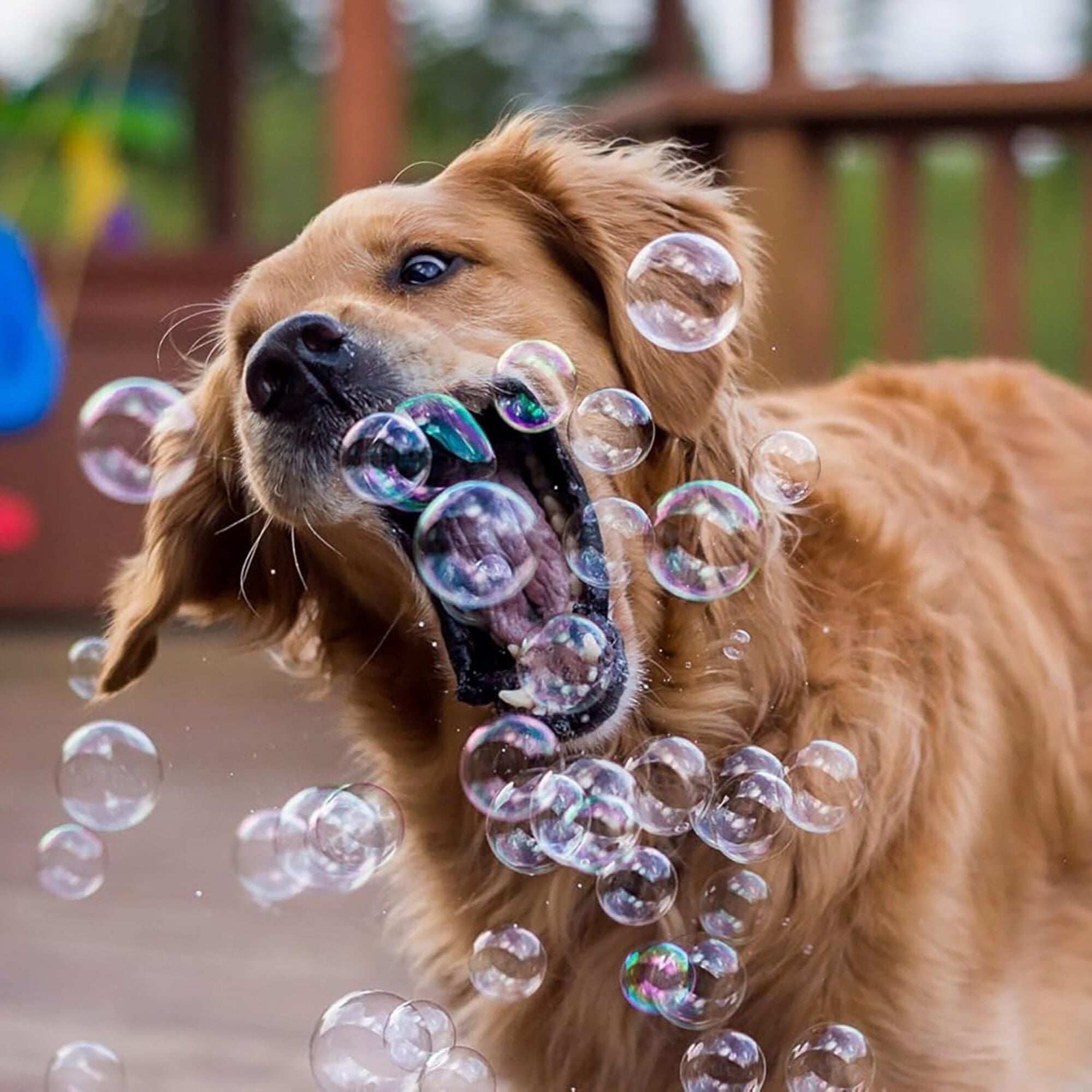 Atomic Bubbles: Back Yard Bubbles - 2 Pack, 4oz Bottles - Botanical Oils Blend, Dog Toy, Pet Safe Formula, Interactive Outdoor Pop & Chase Play