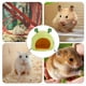 thumbnail image 2 of De Frutas Para Mascotas, Fruta De Dibujos Animados, Piña, Rana, Nido De Algodón, Cama Colgante Creativa, Hamaca Para Hámster Cateissary HA045774-02, 2 of 5