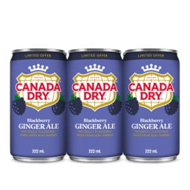 Canada Dry Soda Gingembre a la mure sauvage Cannettes, 222 mL, 6 Pack 222 mL 6 Pack