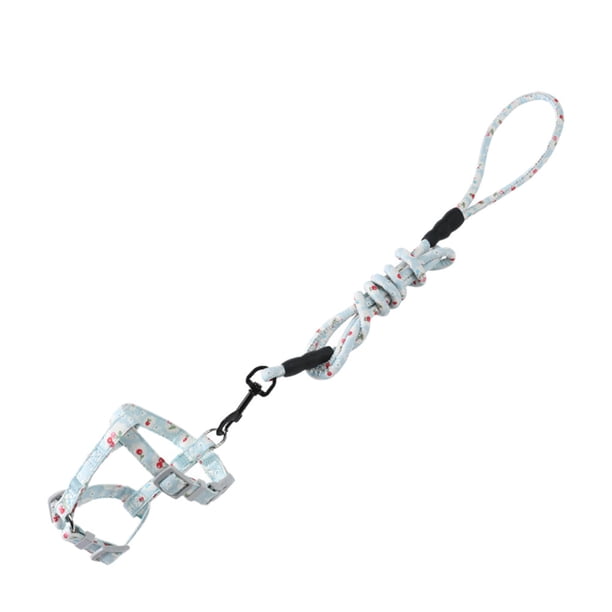 FELTECHELECTR Arnés ajustable para mascotas y gatos, con cuerda de tracción, cómodo y estampado de flores, correa de algodón, ideal para el hogar y actividades al aire libre (azul cielo, talla M)