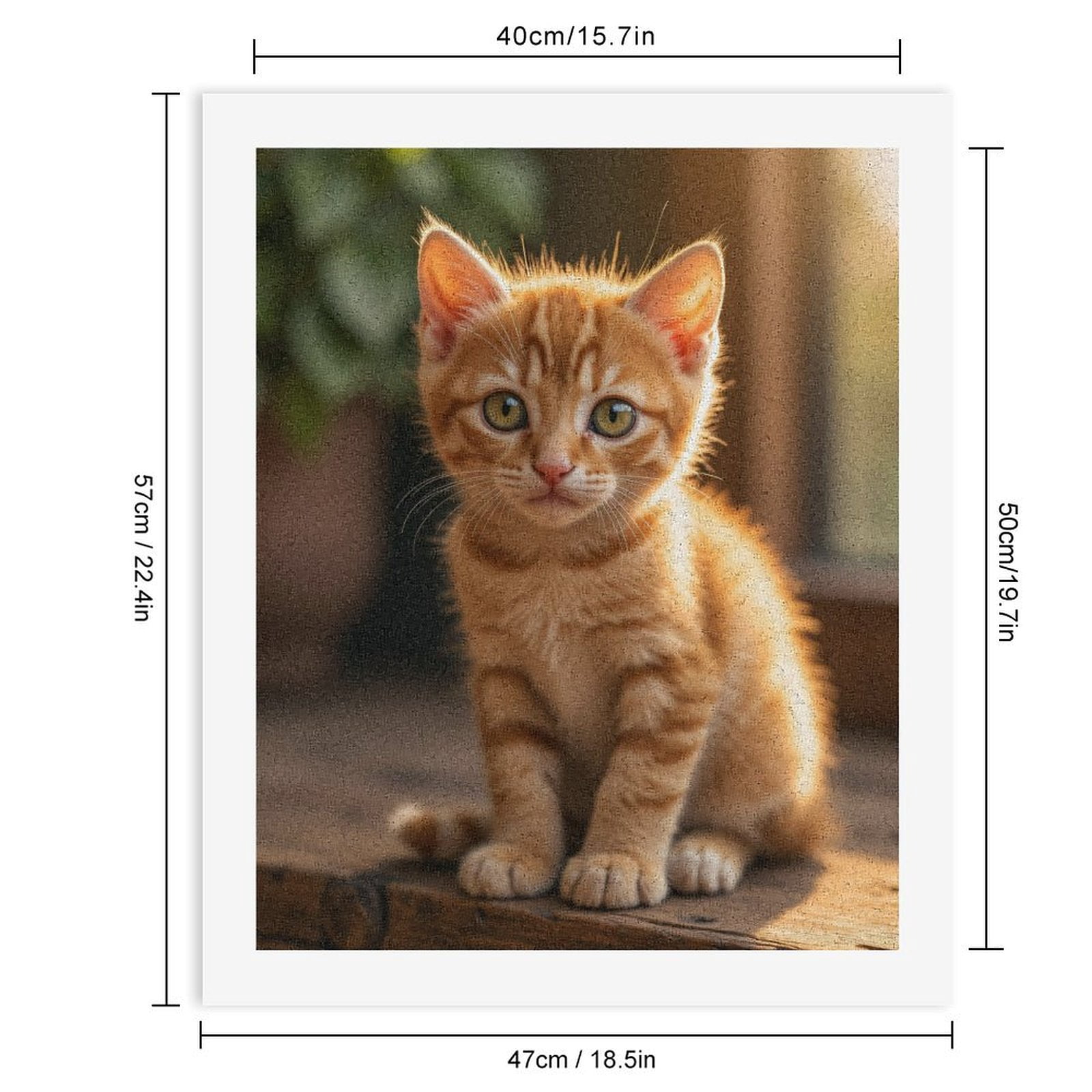 Paint By Numbers Kit for Adults Beginner - Golden Kitten Warm Sunlight DIY Canvas Painting Kits for Adults, Frameless Paint By Number for Adults for Home Wall Decor 16x20 Inch