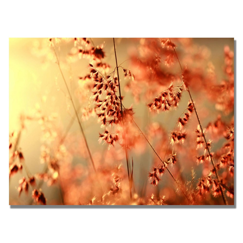 Beata Czyzowska 'Sunset Conversations' Canvas Art