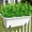 White, variant on Votnto Artificial Milan Grass Bundle, Fake Greenery Plant Stem with Colorful Flowers for Indoor Outdoor Home Garden Window Box Arrangement Decor 13.39IN