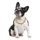 thumbnail image 1 of Cadena Para Perro Chapada En Oro De 18 Quilates Pulgadas (20, 1 of 6