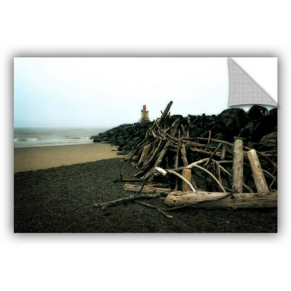 ArtWall Kevin Calkins "Soth Jetty and Driftwood" ArtAppealz Removable Wall Art
