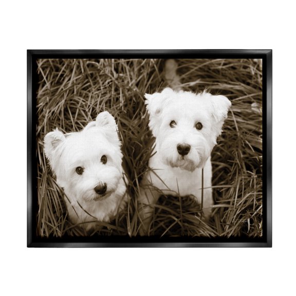 Stupell Industries White Terrier Puppies Animals & Insects Photography Black Floater Framed Art Print Wall Art, 21 x 17