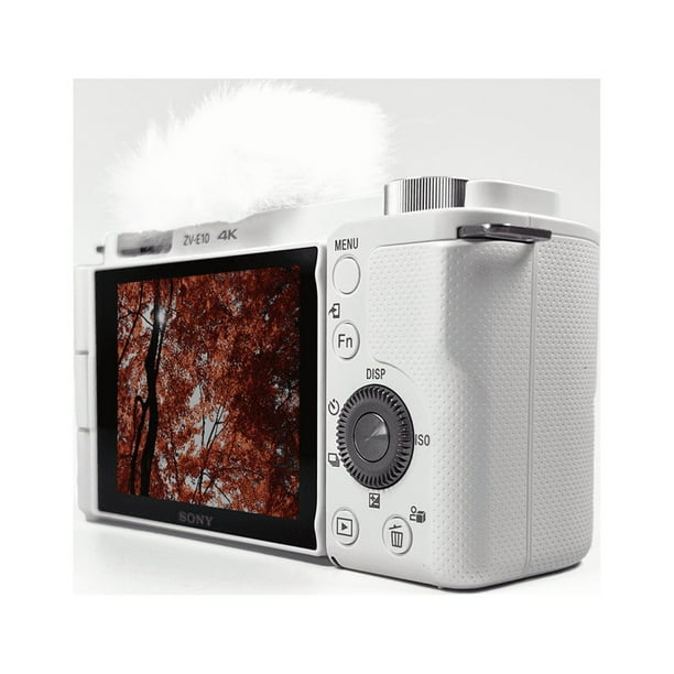 Sony Professional Digital Camera - Alpha ZV-E10 Mirrorless