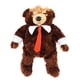 thumbnail image 1 of Juguete de la felpa del oso pardo, juguete lindo del animal relleno de la felpa del oso pardo Juguete lindo del peluche diseñado a medida, 1 of 12