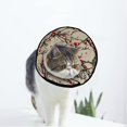 thumbnail image 1 of Collier de Récupération pour Chaton et Chien Fleur de Prunier Ajustable Cône de Chat après Chirurgie Protection après Chirurgie pour Cônes de Chaton après Chirurgie, 1 of 7