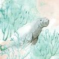 thumbnail image 2 of Allen, Kimberly 15x15 White Modern Wood Framed Museum Art Print Titled - Manatee Swim, 2 of 4