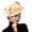 Gold, variant on Fascinators Hat Mesh Veil Feathers Hat with a Headband and a Clip Tea Party Headwear for Women