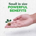 thumbnail image 5 of Greenies Supplements Peanut Butter Flavor Allergy & Immune Support Dog Chews, 7.76 oz Pouch, 5 of 10