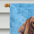 thumbnail image 3 of Carolines Treasures SC9079CHF Drapeau Vizsla Toile - Taille Maison, 3 of 4