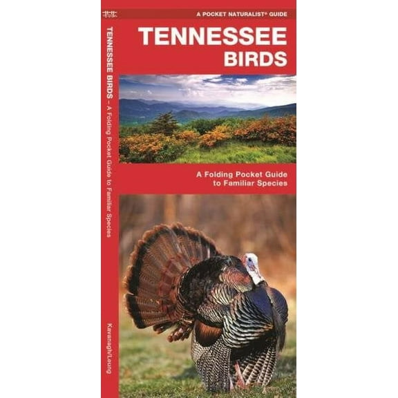 Pocket Naturalist Guides: Tennessee Birds: A Folding Pocket Guide to Familiar Species (Other)