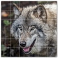 thumbnail image 1 of Picture-Tiles.com: Wolf Ceramic Tile Wall Mural WAL501235-66L. 48"W x 48"H using (36) 8" x 8" Ceramic Tiles-Satin Finish, 1 of 3
