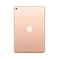 thumbnail image 3 of Restored Apple 7.9-inch iPad Mini (5th Generation) Tablet, Wi-Fi Only, 64 GB Storage, iOS 12 - Gold (Refurbished), 3 of 5