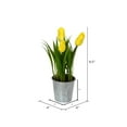 thumbnail image 2 of Vickerman 9.5" Artificial Assorted Set of Tulips in Metal Pot., 2 of 9