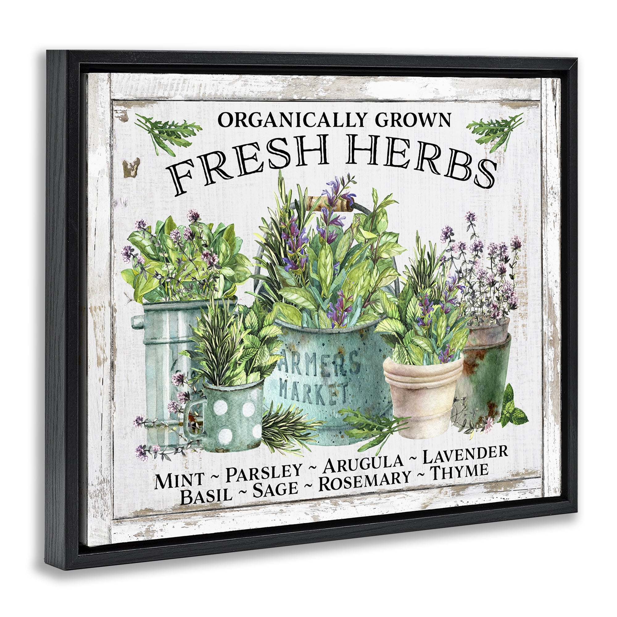 Stupell Industries Organic Fresh Herbs Plants & Flowers Painting Black Floater Framed Canvas Art Print Wall Art, 21 x 17