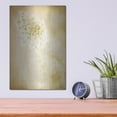 thumbnail image 4 of Luxe Metal Art 'She Wore Lace 2' by Jessica Rogers, Metal Wall Art, 12"x16", 4 of 9