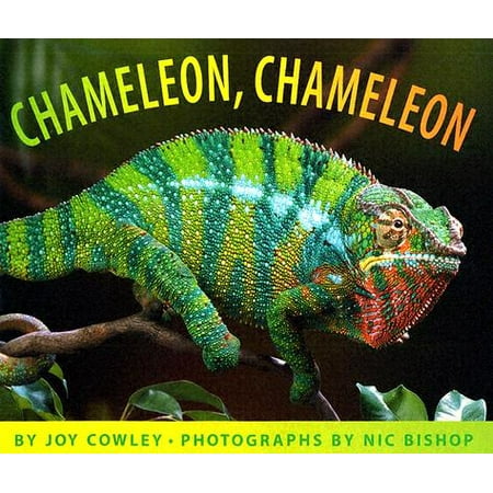 Chameleon, Chameleon