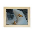 thumbnail image 1 of Ocean Clownfish Fish Science Nature Picture Desktop Photo Frame Picture Art Decoration Painting 6x8 inch, 1 of 3