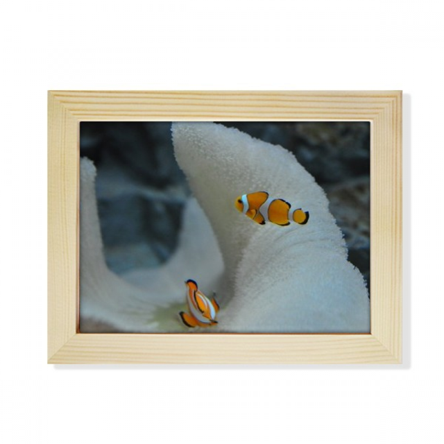 Ocean Clownfish Fish Science Nature Picture Desktop Photo Frame Picture Art Decoration Painting 6x8 inch