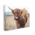 thumbnail image 2 of Stupell Industries Grazing Longhorn Cattle Farmland Animal Portrait Canvas Wall Art, 40 x 30, Design by Amy Brinkman, 2 of 5