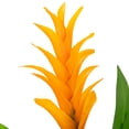 thumbnail image 5 of Northlight Artificial Bird of Paradise Plant in a Black Pot - 50", 5 of 9