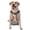 With Accessories, variant on Vsdgher Vintage Cup Pattern Dog Harness,No Pull Pet Harness with Soft Padded Handle,Adjustable Reflective Vest with 2 Buckles,4 Slide Buckles,S-XL Large