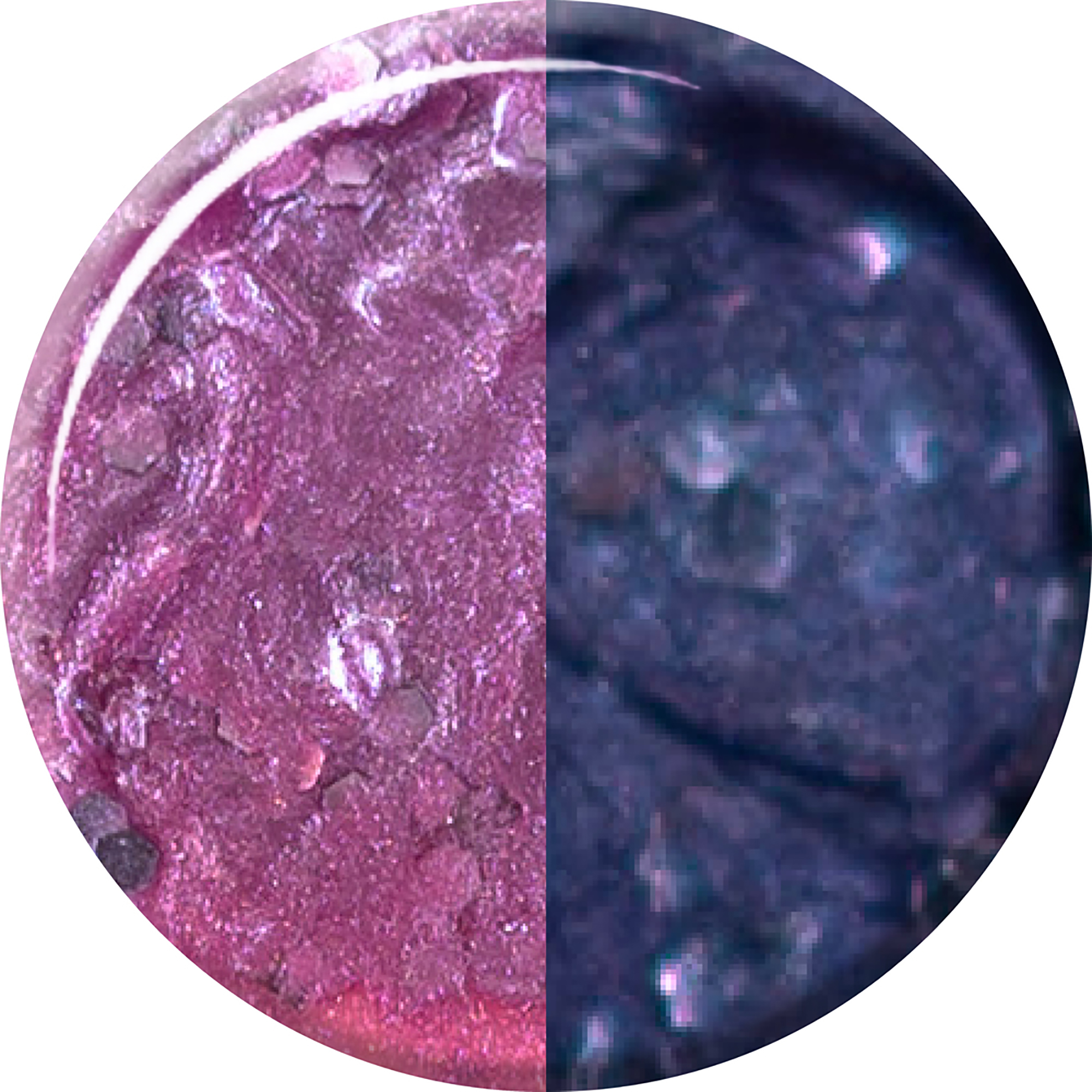 Color-Changing Nail Polish - Inside Out by DelSol for Women - 0.34 oz Nail Polish