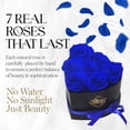 thumbnail image 3 of GLAMOUR BOUTIQUE 7-Piece Forever Flowers Heart Shape Box - Preserved Roses, Immortal Roses That Last A Year - Eternal Rose Preserved Flowers for Delivery Mothers Day & Valentines Day - Blue, 3 of 8