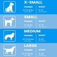 thumbnail image 4 of Pañales para perros BV para hombre, pequeños (cintura de 30 a 48 cm), superabsorbentes 50, 4 of 7
