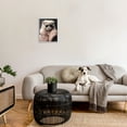 thumbnail image 3 of Stupell Industries Cat in Fur Jacket Animals & Insects Painting Gray Framed Art Print Wall Art, 16 x 20, 3 of 9