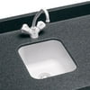 swanstone us01513sb.050 classics 13.5" x 15.5" undermount bar sink, finish: tahiti desert